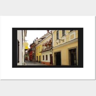 Historic Street in Kranj Posters and Art